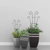 Jardinières Pots Métal Plante Support Rack Creative Maison Fleur Plante Escalade Cadre Support DIY En Pot Ornemental Rotin Fleur Stand R230621