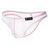 Caleçon 1 pièces marque Howe Ray sous-vêtements gai hommes fil Transparent demi-pack hanche petit Triangle Bikini Sexy slips