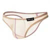 Caleçon 1 pièces marque Howe Ray sous-vêtements gai hommes fil Transparent demi-pack hanche petit Triangle Bikini Sexy slips