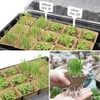 プランターポット植物植物スターターポットと蓋の庭の発芽苗を植える生分解性フラワープラントカップR230621