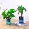 Planters Pots Plant Container Excellent Attractive Flower Planter Automatic Water Absorbing Plant Flower Pot for Home R230621