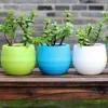 Planters POTS PLAX EGG FORM Växtpanna Dränering Hål Flowerpot Home Office Garden Decor