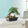 Fioriere Vasi per piante grasse Vaso per fiori quadrato rettangolare in plastica per bonsai Giardino R230621