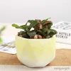 Planters POTS Colorful Creative Flowerpot Angle Flow Glaze Ceramic Flower Pot Breattable Micro Landscape Green Pot Garden Decoration