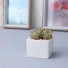 Fioriere Vasi Vaso da fiori Bianco Mini creativo da tavolo Vaso da fiori in vaso Piccolo quadrato dritto Vaso da fiori in ceramica succulenta Decorazioni per ufficio Indoor R230621