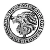 Pins broszki Vintage Lion Head Okoła Animal Lapel for Men garnitur kołnierzyka Odznaka luksulowania biżuterii Prezenty 230621