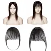 Bangs Sego Small Short 3D Air Hair Bangs With Temples Human Hair Remy Clip in Hair Extensions Natural Fringe Hairpiep For Women 230620