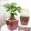 Vasos de plantação Poupança de tempo útil mini vaso de planta cores plantador quadrado sortido mini vaso de flores para pátio R230621