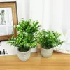 Fleurs décoratives 1pc Mini plantes artificielles simulées bonsaï petit arbre Pot faux bureau Table en Pot ornements maison jardin décor