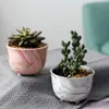 Planters POTS Marmoring More Meat Flower Pot Succulents Fleshy Cactus Ceramic Flowerpot Small Home/Garden/Office Decoration Pots Flower R230621