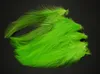 Ami da pesca Saltwater Neck Hackle Materiale costruzione mosche Feathers 230620