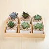 Planters Pots Multi Grid Bonsai Planter Holder Tood Pot Desktop Storage Holder R230621