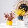 Плантаторы горшки скандинавской простой сочный цветочный горшок с золотым металлическим стендом домашний сад декор coloful cactus Небольшой керамический внутренний плантатор Подарок R230621