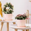 Planters Pots Nordic Minimalist Desktop Resin Fleshy Thick Plastic White Pink Plue Suit Flower Pot Potted Ceramic self watering planter R230621