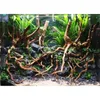 ديكورات الإبداع Micro-landscape Rattan Driftwood Tree Root DIY Aquarium Fish Tank Accorations 230620