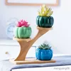 Planters POTS Creative Pumpkin Flowerpot Meat Basin Ice Crack Color Ceramic Flower Basin Home Gardening Decoration Green Thumb Basin Pots R230621