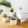 Plantenbakken Potten Keramische Succulent Bloempot Creatieve Plant Bloempot Home Office Desktop Ornament Met Bamboe Lade R230621