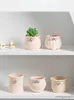 Planters POTS CERAMIC Meaty Flower Pot Decoration vardagsrum hem dekoration köttig blomma kruka trädgårdsblommor gröna växt potting r230621