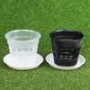 Planters Pots 11/14cm Mesh Flower Pot Net Clear Plastic Orchid Planter Flowerpots Tray Root Breathable Growth Container Slots Wall Hanging Cup R230620