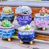 プランターポットクリエイティブセラミックフラワーポット粗いポテリー花柄の花柄の肉質植物ポット通気性オフィスデスクトップ装飾品庭の装飾