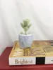 Planters Pots Ceramic Home Garden Flowerpot Succulent Jade Porcelain Succulent Flower Pot Office Creative Mini Simple Flower