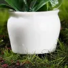 プランターポットセット鉢植えの植物像diyミニ樹脂マルチカラーフラワー図形耐水性鉢植え植物R230621
