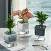 Planters POTS Blomma plast Transparent växtbehållare med dräneringshål avtagbart självvattning Slängtät planterkruka för hem R230621