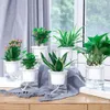 Planters POTS 40%Hotclear Automatisk vattenabsorption Självvattnande Hydroponic Flower Pot Planter