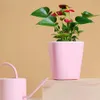 Planters POTS Flower Holder Plastic Square Shape Solid Color Plant Pot Löstagbar vattenabsorberande Hållbar suckulent containerträdgård R230621