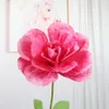 Velours Rose Tête Fenêtre D'affichage Grande Fleur Décoration De Fête De Mariage Simulation Rose Photographie Props Grande Tête De Fleur En Gros