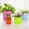 Planters krukor storlekar blomma potten runda planterare mini blomkruka för suckulenter hemmakontor dekor plantera högkvalitativ växt potten r230621