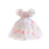 Girl Dresses FOCUSNORM 3-8Y Toddler Kids Princess Dress Short Puff Sleeve Floral Print Mesh Lace High Waist Tutu