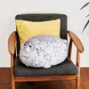 Party Favor Angry Blob Seal Pillow Chubby 3D Novely Sea Lion Doll Plush fylld Toy Baby Sleeping Throw Gifts To Kids Girls