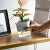 Planters POTS Blomma plast Transparent växtbehållare med dräneringshål avtagbart självvattning Slängtät planterkruka för hem R230621