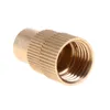 Watering Equipments 5pcs Adjustable Brass Atomizing Spray Nozzles Lawn Grass Greenhouses Garden Sprinkler Heads Irrigation Supplies