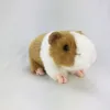 Plyschdockor 18 cm simulering marsvin djur plysch fylld docka hamster doll trav doll leksak mjuk fylld djurdockor barn födelsedagspresent 230621