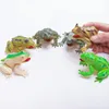 6 Pack Resorted Frog Figurs Gumowe żaby Realistyczne żaby figurki Squishy Rube Frog Prezent na Boże Narodzenie 1224547