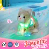 Плюшевый свет - Up Toys City Kawaii Clush Plush Toys 35 см. Подушки кота кота с музыкальными светодиодными животными подарок для девочек детские колыбельные 230621