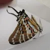 Figuritas de objetos decorativos, 10 Uds., especímenes de mariposas reales sin alas extendidas, materiales para hacer prácticas DIY 230621