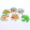 6 Pack Resorted Frog Figurs Gumowe żaby Realistyczne żaby figurki Squishy Rube Frog Prezent na Boże Narodzenie 1224547