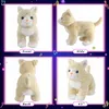 Плюшевый свет - Up Toys City Kawaii Clush Plush Toys 35 см. Подушки кота кота с музыкальными светодиодными животными подарок для девочек детские колыбельные 230621