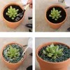 Planters Pots 10/12/20pcs Red Pottery Flower Pot Terracotta Plant Pot With Hole Pottery Clay Planters For Cacti And Succulent Plants 3 X 3cm 230621