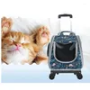 Dog Car Seat Covers Cat Bag Handrail Shoulder Backpack Back Head Pet Leather Transparent Carrying Cage Bags Carriers Products