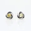 Lesbisk hjärta örhänge kvinnlig CZ 925 Sterling Silver Designer Love Jewelry Stud Earrings Women Love Festival Birthday Party Bord Concentrique Girlörhängen