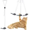 Cat Toys Hanging Elastic Rope Door Dractable Interractractor Toys Mouse Justerbar Kitten Feather Toy för inomhuskatter Spela föremål