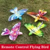 電気rc動物24gリモートコントロール電子シミュレーションツワール空飛ぶ鳥航空機子供