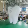 Palloncino modello dente gonfiabile personalizzato Big Stand con personalizzazione per la promozione pubblicitaria del dentista