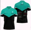 F1 Racing Polo Jersey Summer Team Rapel T-shirt dezelfde stijl aangepast