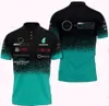F1 Racing Polo Jersey Sommer Team Revers T-Shirt im gleichen Stil individuell gestaltet