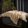 Pillow Case DISANGNI 100% pure silk pillowcase real natural mulberry 230621